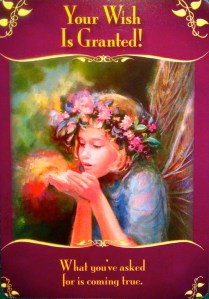 Your Wish Is Granted