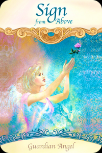 IMG_4293sign from above