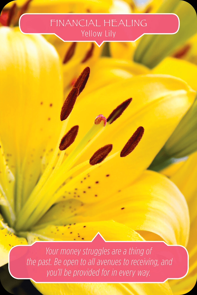 yellow lily financial healing