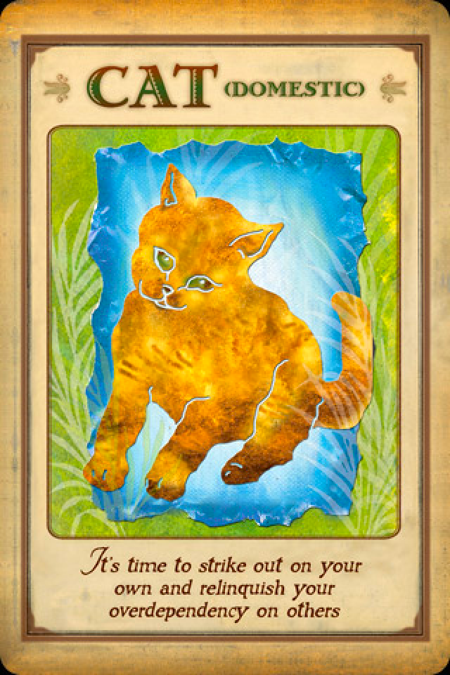 Cat, from the Messages From Your Animal Spirit Guides, by Stephen D Farmer