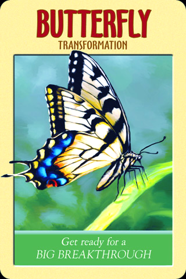 Butterfly ~ Transformation, from the Power Animals Oracle Card deck, by Stephen D Farmer