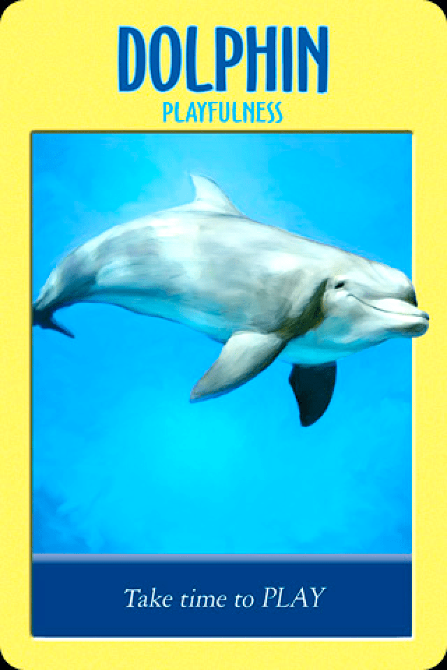 Dolphin ~ Playfulness, from the Power Animal Oracle Card deck, by Stephen D Farmer. 