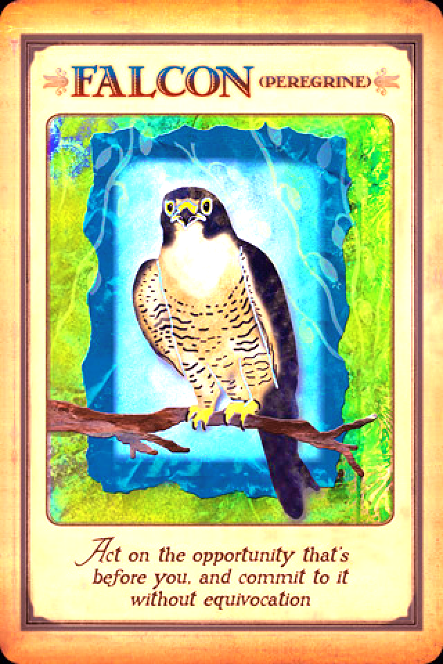 Falcon, from the Messages From Your Animal Spirit Guides Oracle Card deck, by Stephen D Farmer
