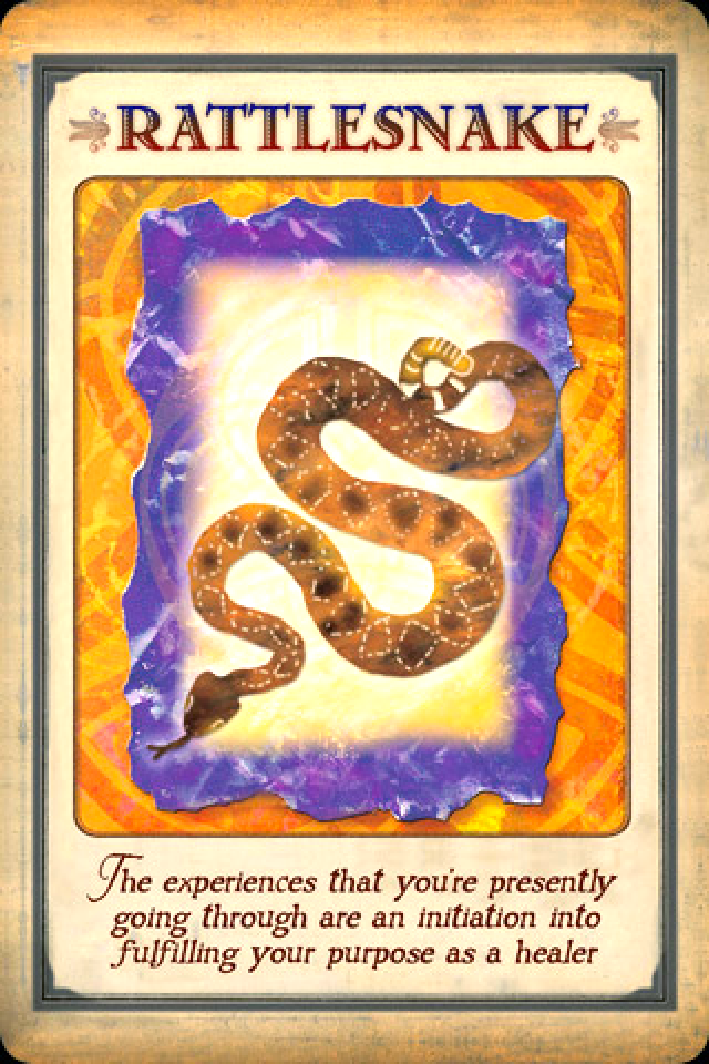 Rattlesnake, from the Messages From Your Animal Spirit Guides Oracle Card deck, by Stephen D Farmer