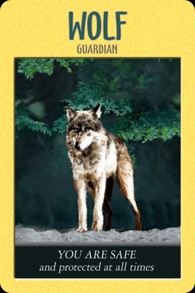 Wolf ~ Guardian, from the Power Animal Oracle Card deck, by Stephen D Farmer