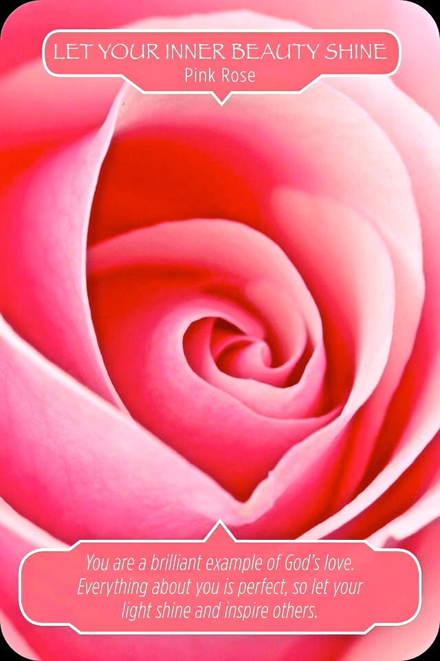 Pink Rose ~ Let Your Inner Beauty Shine, from the Flower Therapy Oracle Card deck, by Doreen Virtue Ph.D and Robert Reeves