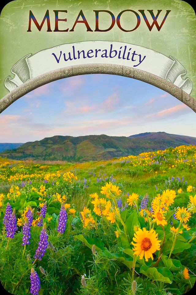Meadow ~ Vulnerability, from the Earth Magic Oracle Card deck, by Stephen D Farmer