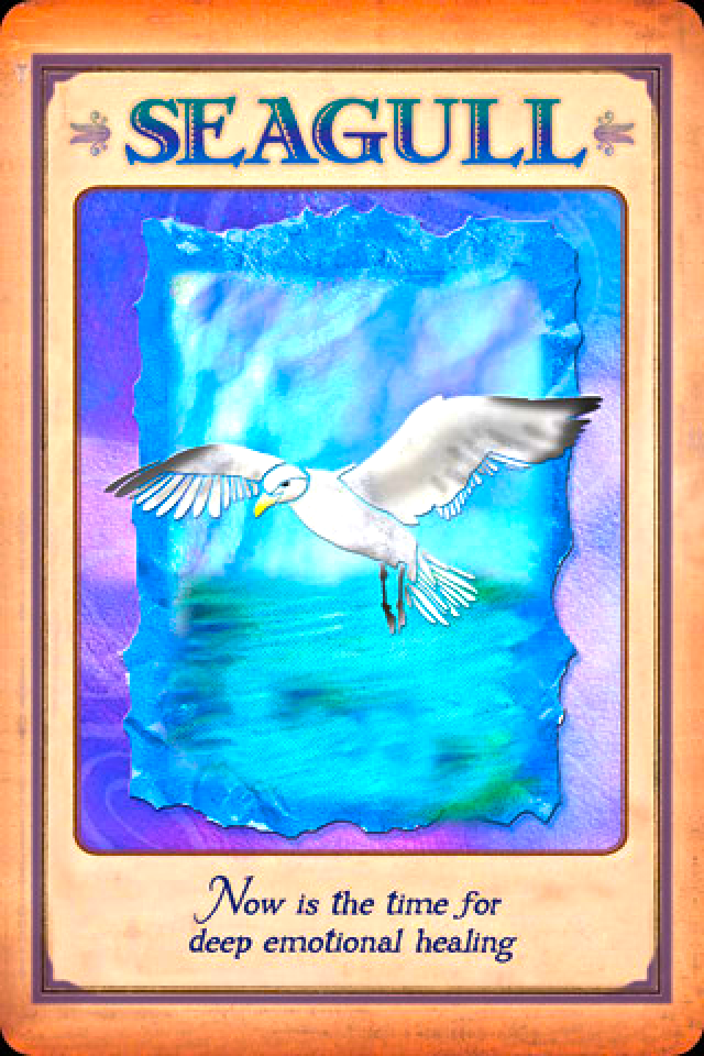 Seagull, from the Messages From Your Animal Spirit Guides Oracle Card deck, by Stephen D Farmer