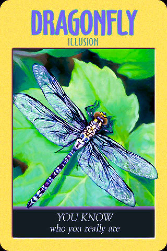 Dragonfly