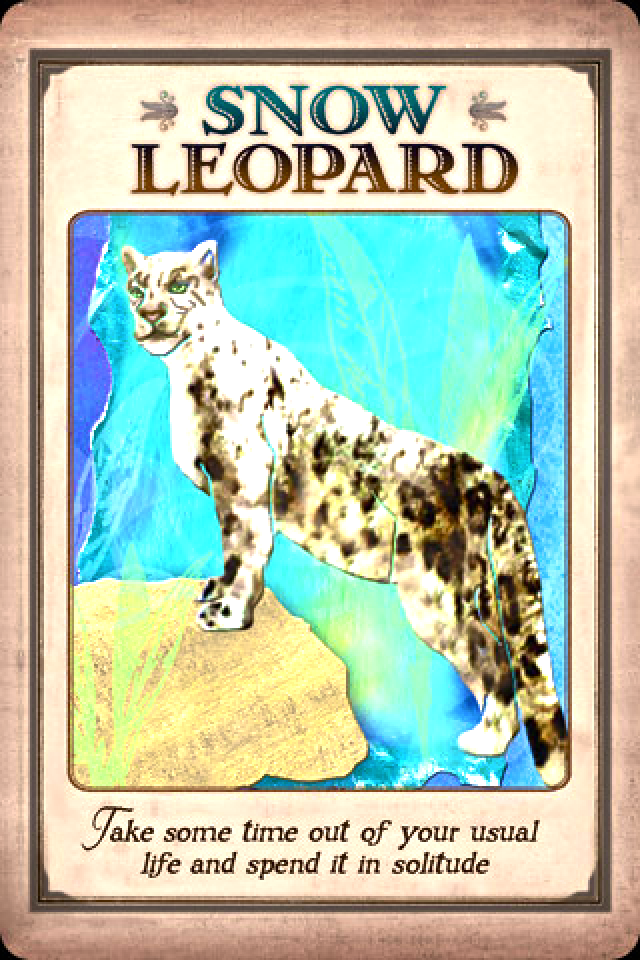 Snow Leopard, from the Messages From Your Animal Spirit Guides Oracle Card deck, by Stephen D Farmer 