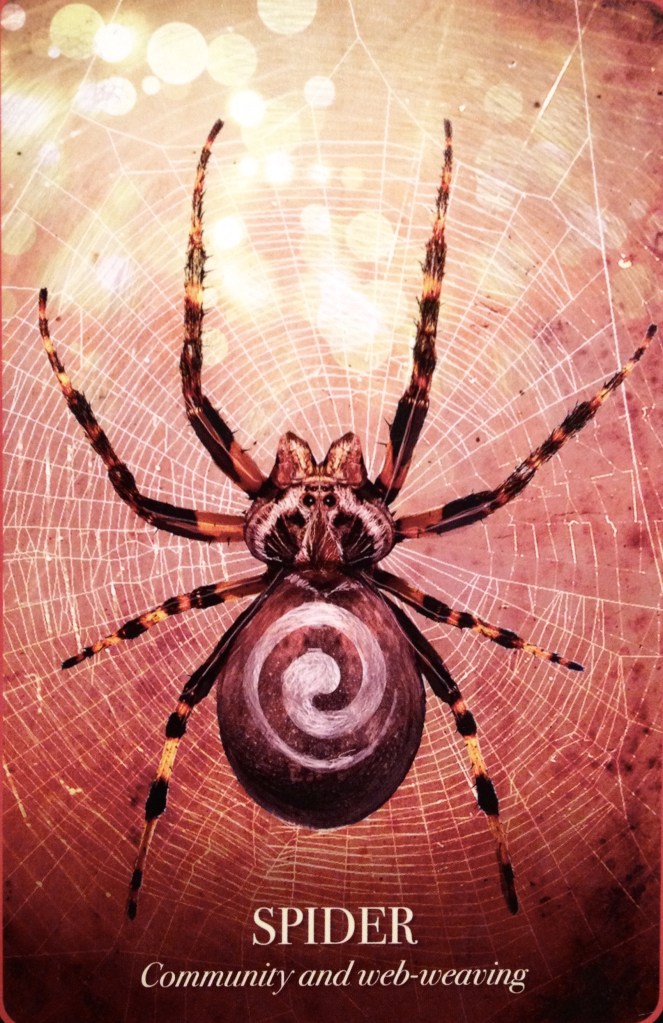 Spider ~ Community and Web-Weaving, from the Halloween Oracle Card deck, by Stacey Demarco