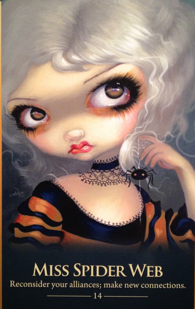 Miss Spider Web, from the Oracle Of The Shapeshifters, by Lucy Cavendish