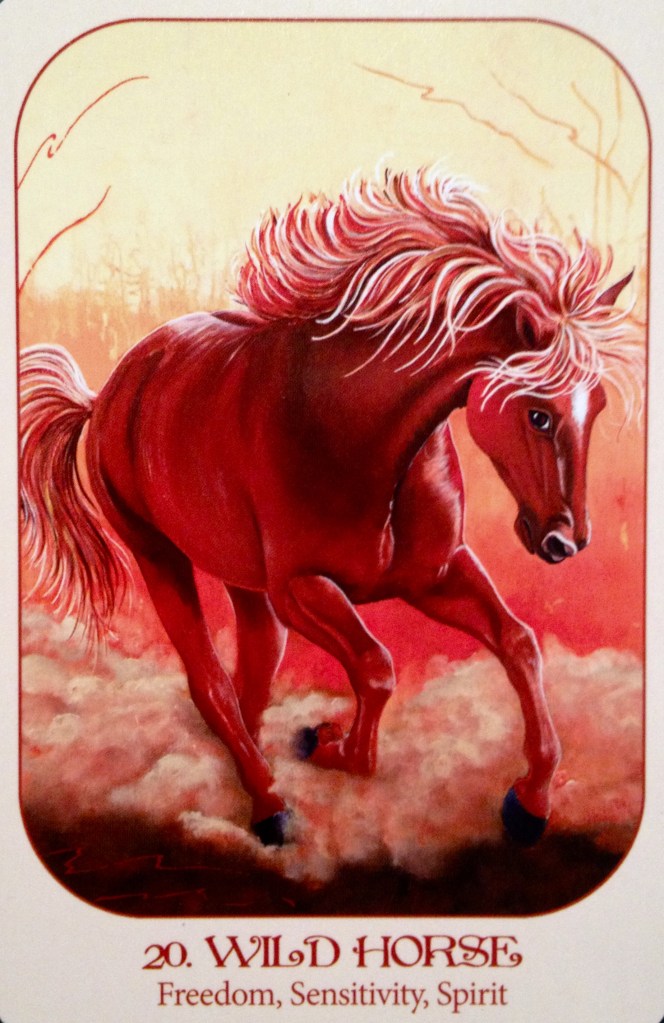 Wild Horse, from the Animal Voices Oracle Card deck, by Chip Richards 