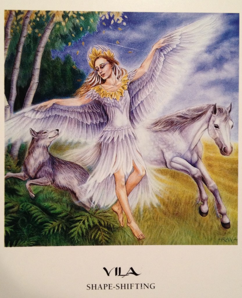 Vila ~ Shape Shifting, from the Goddess Oracle Card deck, by Amy Sophia Marashinsky and Hrana Janto