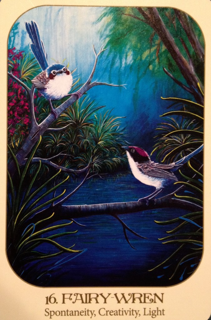 Fairy Wren, from the Animal Voices Oracle Card deck, by Chip Richards 