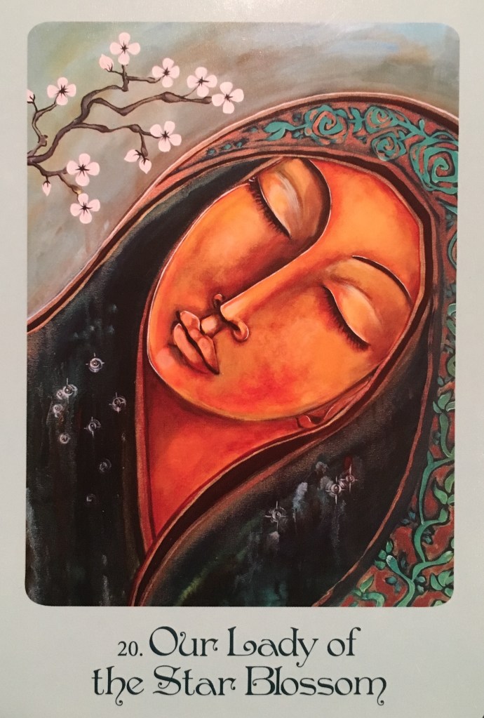 Our Lady Of The Star Blossom, from the Mother Mary Oracle Card deck, by Alanna Fairchild and Shiloh Sophia McCloud