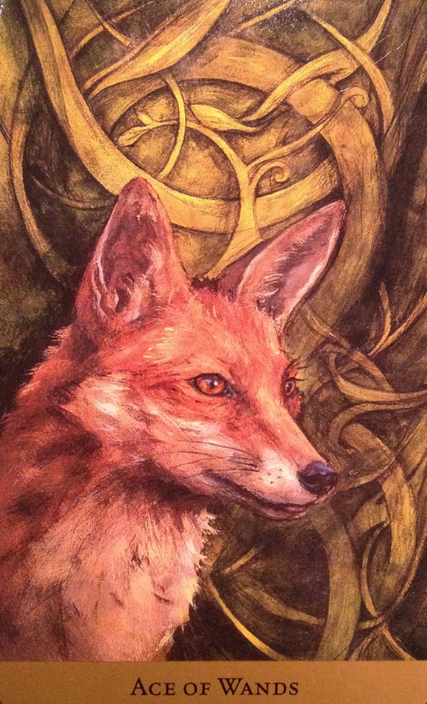 Ace Of Wands, from the Tarot Of The Hidden realm, by Julia Jeffrey and Barbara Moore