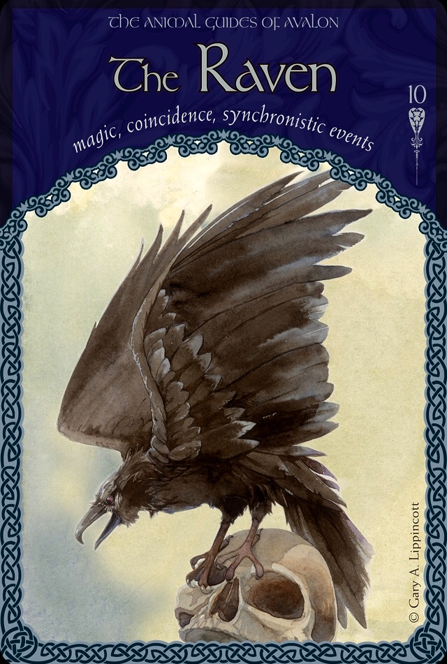 The Raven, from the Wisdom Of Avalon Oracle Card deck, by Colette Baron-Reid