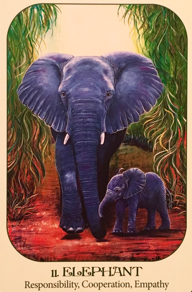Elephant, from the Animal Voices Oracle Card deck, by Chip Richards, Illustrated by Susan Farrell 