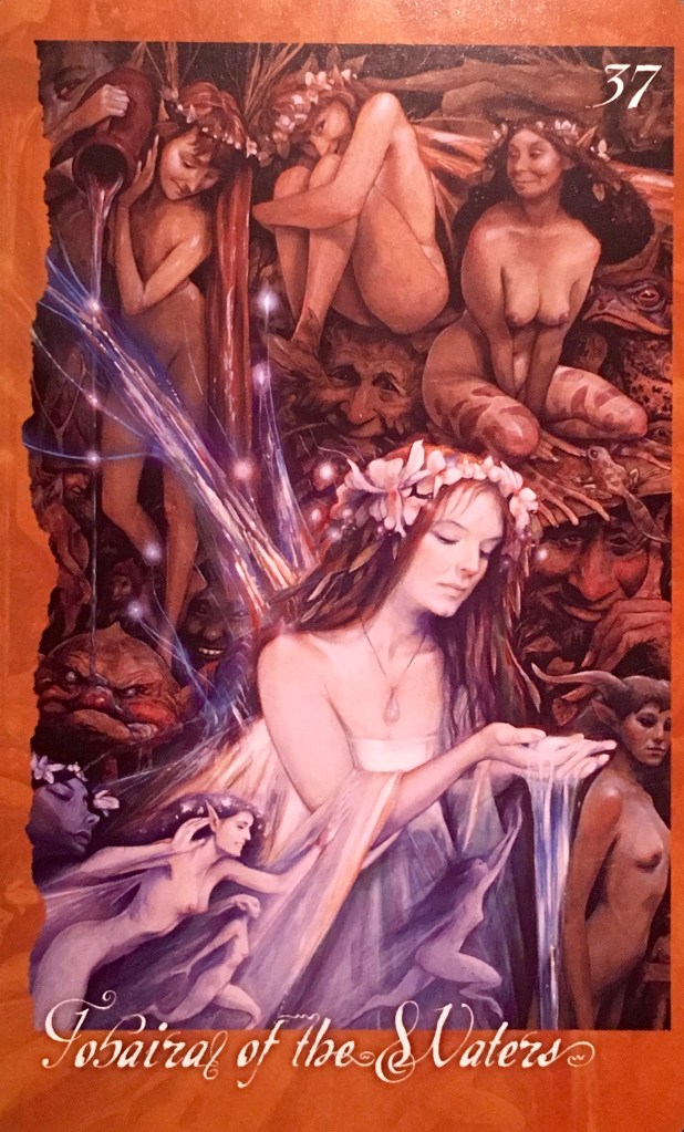 Tobaira Of The Waters, from The Faeries' Oracle, by Brian Froud and Jessica MacBeth
