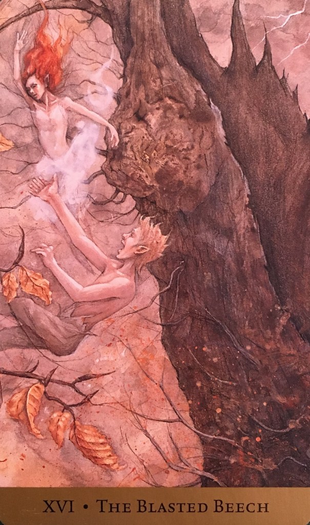 The Blasted Beech, from the Tarot Of The Hidden Realm, by Julia Jeffrey and Barbara Moore