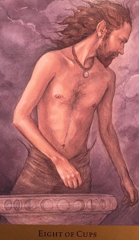 Eight Of Cups, from the Tarot Of The Hidden Realm, by Julia Jeffrey and Barbara Moore