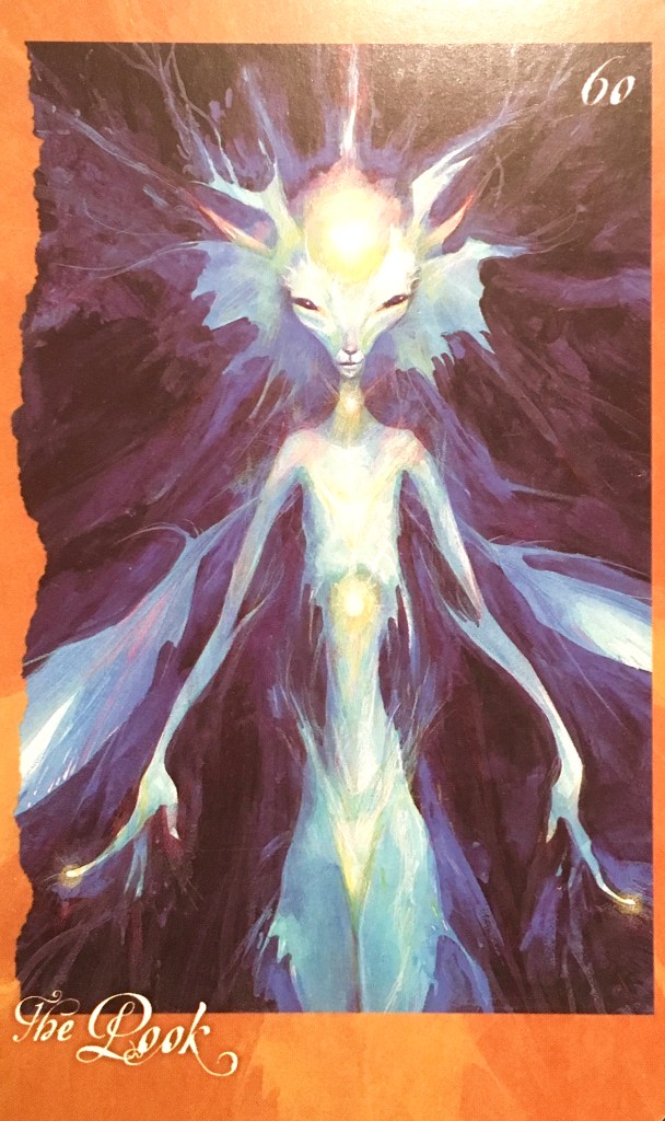The Pook, from The Faeries' Oracle, by Brian Froud and Jessica MacBeth