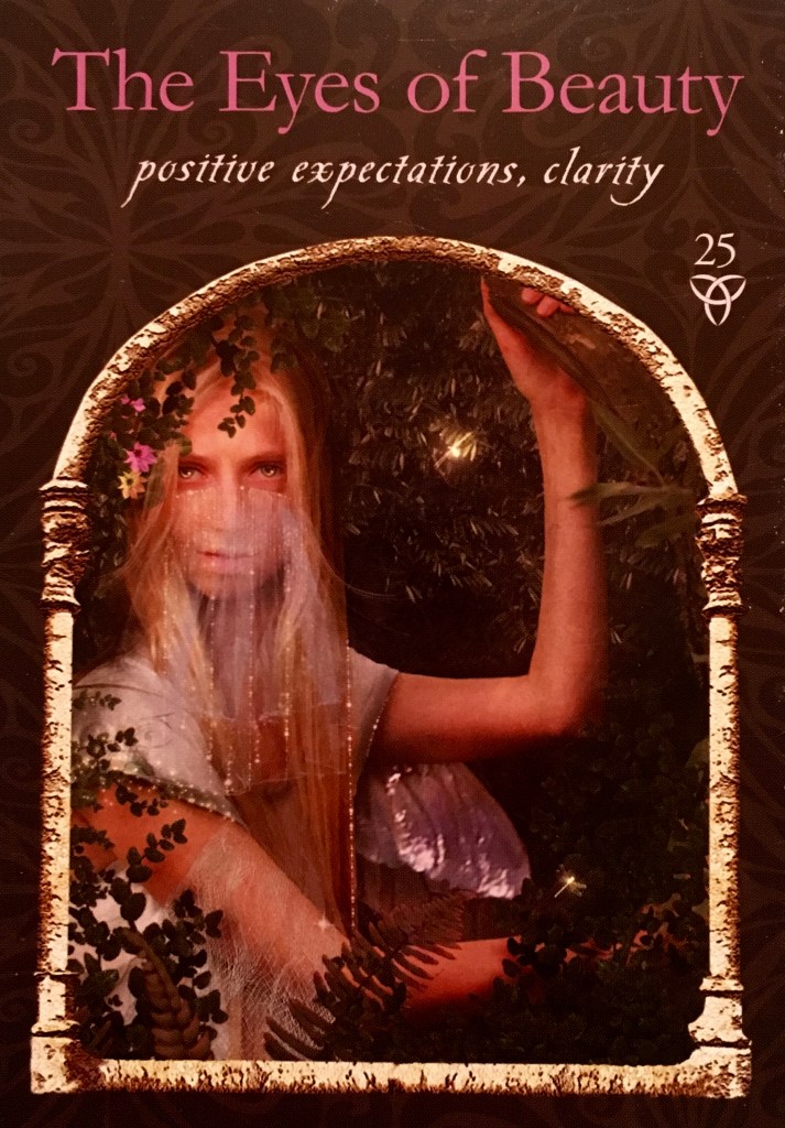 The Eyes Of Beauty, from the Wisdom Of The Hidden Realms, by Colette Baron-Reid, Illustrated by Jena DellaGrottaglia