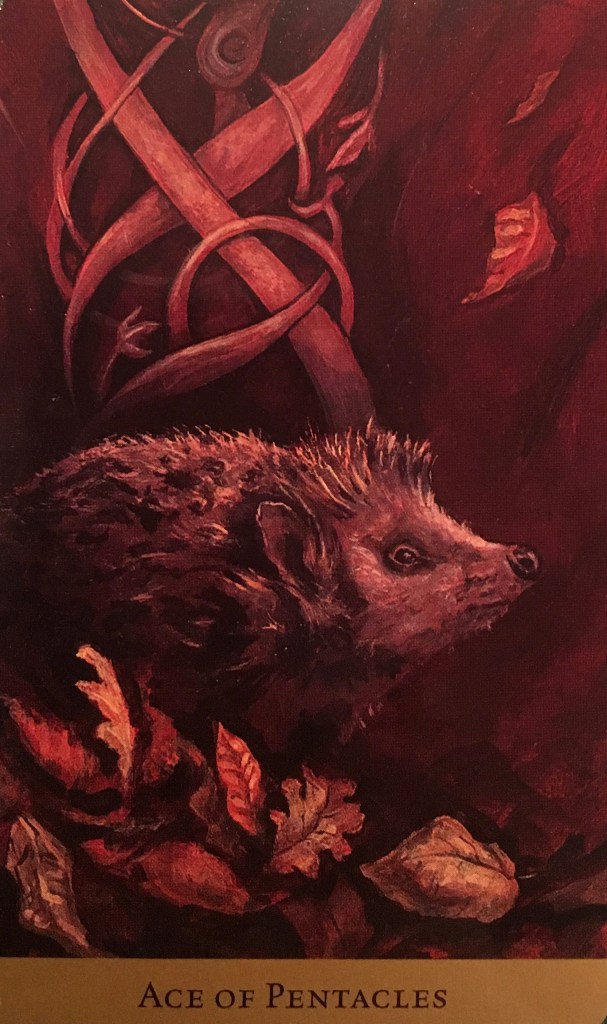 Ace Of Pentacles, from the Tarot Of The Hidden Realm, by Julia Jeffrey and Barbara Moore