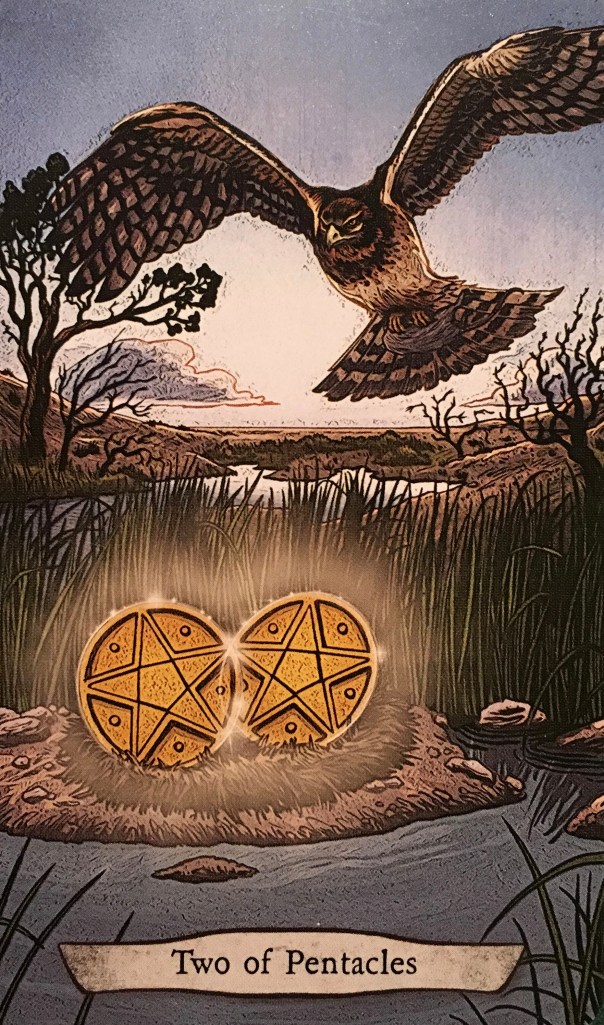 Two Of Pentacles ~ Harrier Hawk, from the Animal Totem Tarot Card deck, by Leeza Robertson, Illustrated by Eugene Smith 