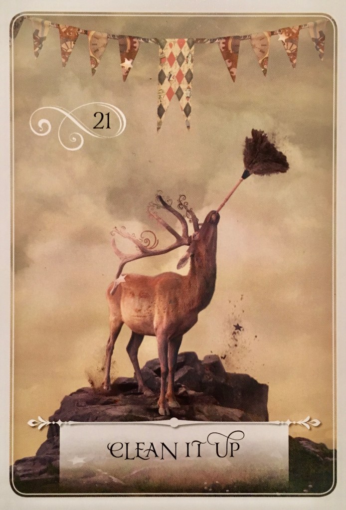 Clean It Up, from the Wisdom Of The Oracle card deck, by Colette Baron-Reid 
