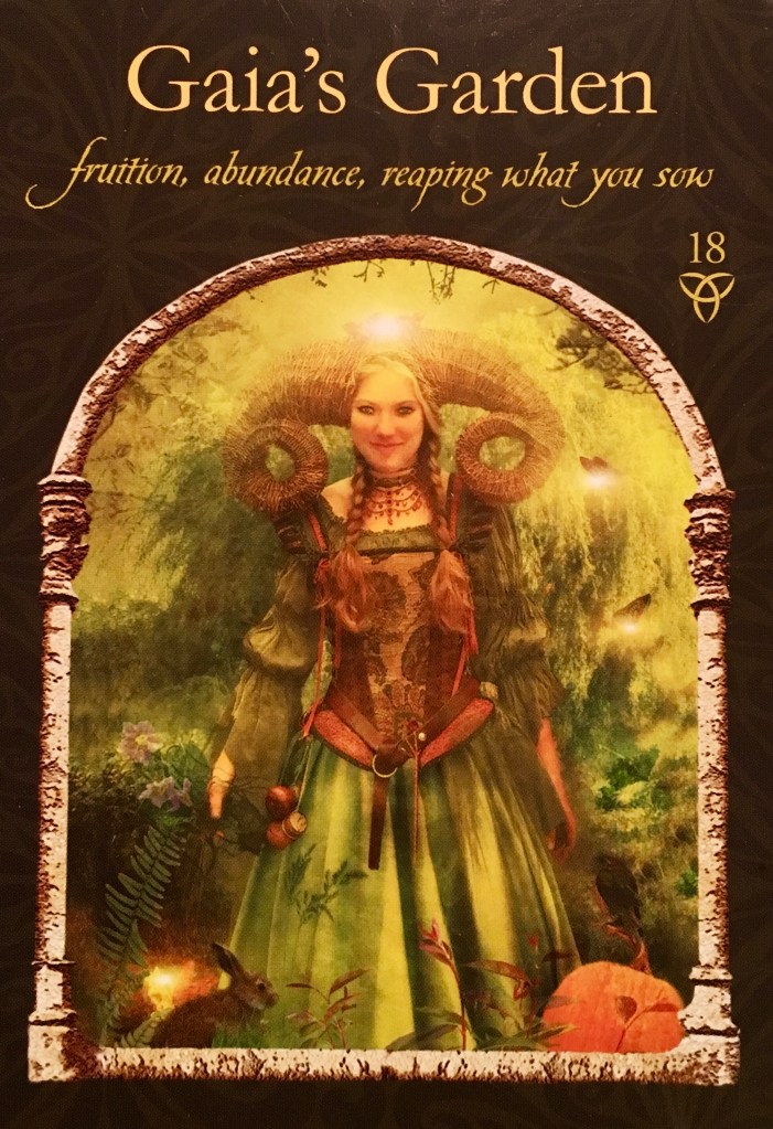 Gaia's Garden, from the Wisdom Of The Hidden Realms Oracle Card deck, by Colette Baron-Reid, Artwork by Jena DellaGrottalia