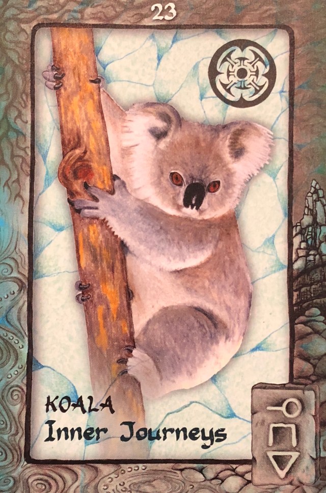 Koala – Archangel Oracle